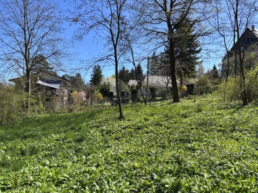 Grundstück kaufen in Tulln – 594 m², € 475.000 – Bild 5 von 6