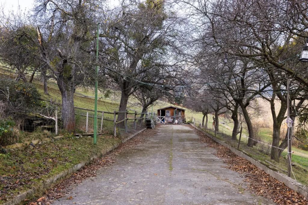 Grundstück kaufen in Neunkirchen – 220 m², € 970.000 – Bild 13 von 20