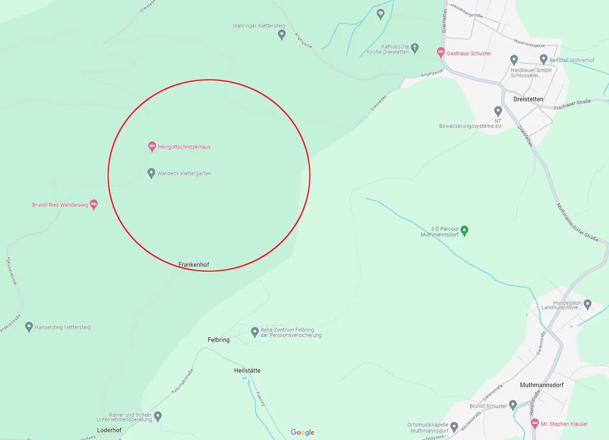 9-Zimmer-Immobilie kaufen in Wiener Neustadt Land – 400 m², € 690.000 – Bild 4 von 12