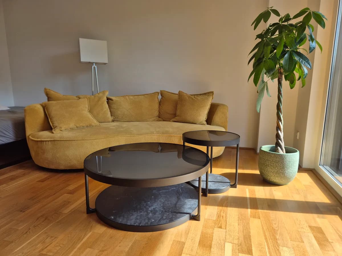 1-Zimmer-Wohnung mieten in Linz – 34 m², € 749 – Bild 2 von 9