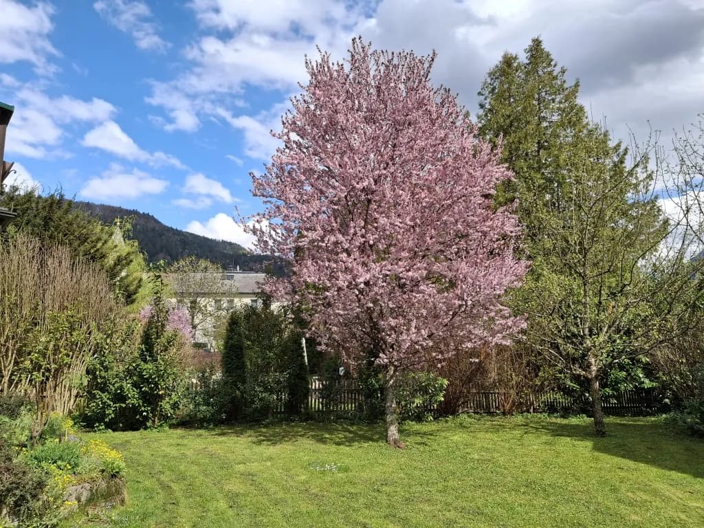 Haus kaufen in Gmunden – 175 m², € 695.000 – Bild 3 von 32