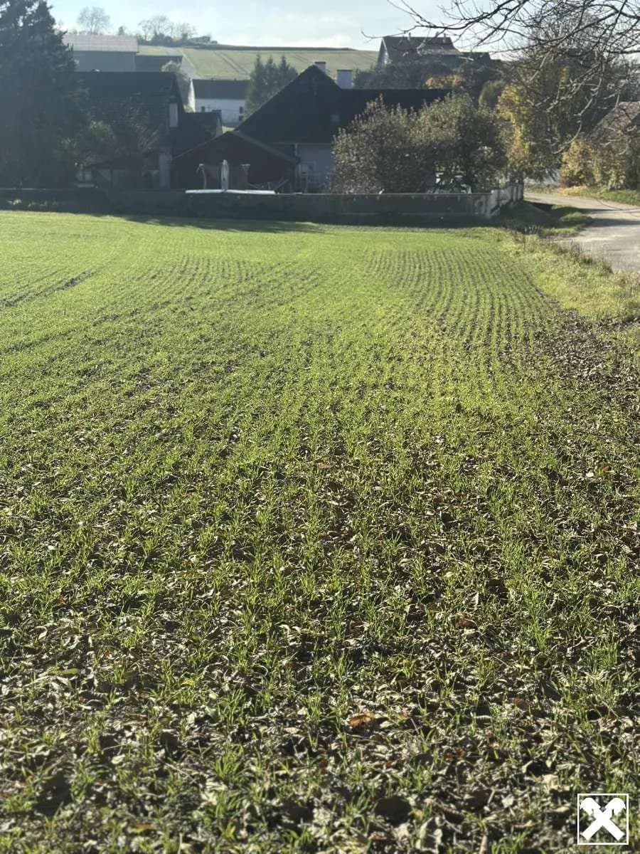 Grundstück kaufen in Tulln – 501 m², € 75.150