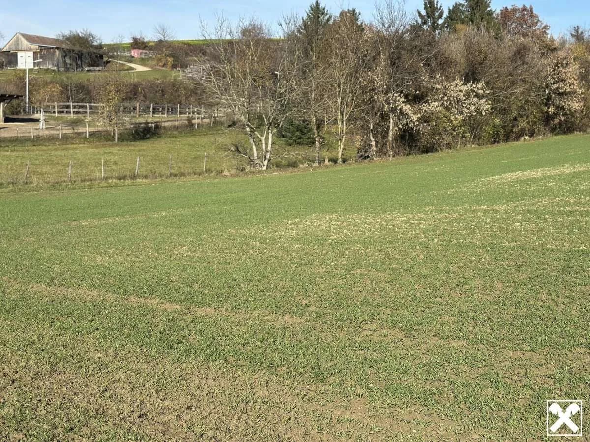 Grundstück kaufen in Tulln – 665 m², € 86.450