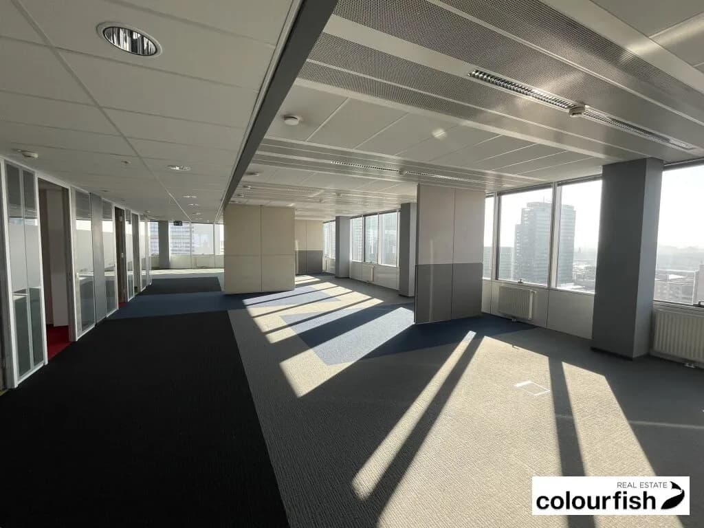 Gewerbeimmobilie mieten in Wien – 774 m², € 17.678 – Bild 4 von 10