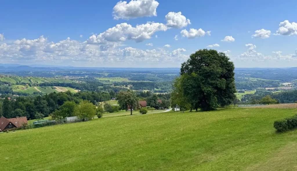 4-Zimmer-Immobilie kaufen in Deutschlandsberg – 125 m² – Bild 4 von 20