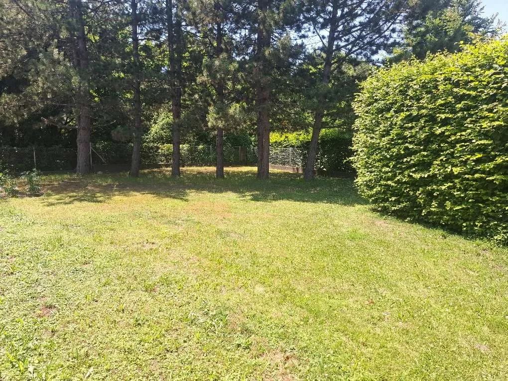 5-Zimmer-Haus kaufen in Wiener Neustadt Land – 160 m², € 549.000 – Bild 2 von 10