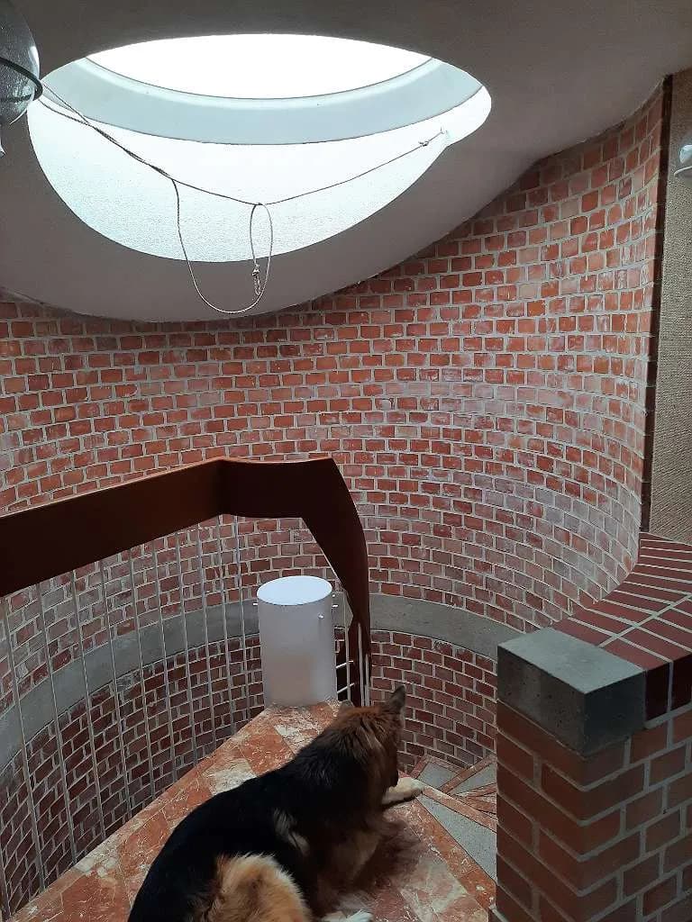 5-Zimmer-Haus kaufen in Wiener Neustadt Land – 160 m², € 549.000 – Bild 5 von 10
