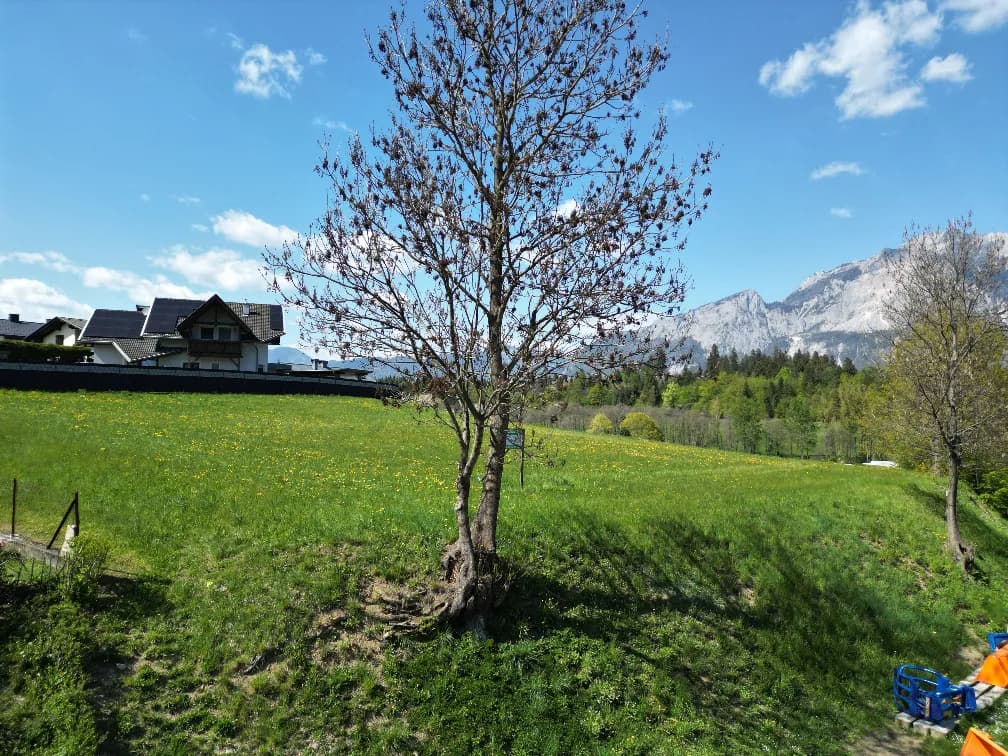 Grundstück kaufen in Villach Land – 1 194 m², € 135.000 – Bild 3 von 5