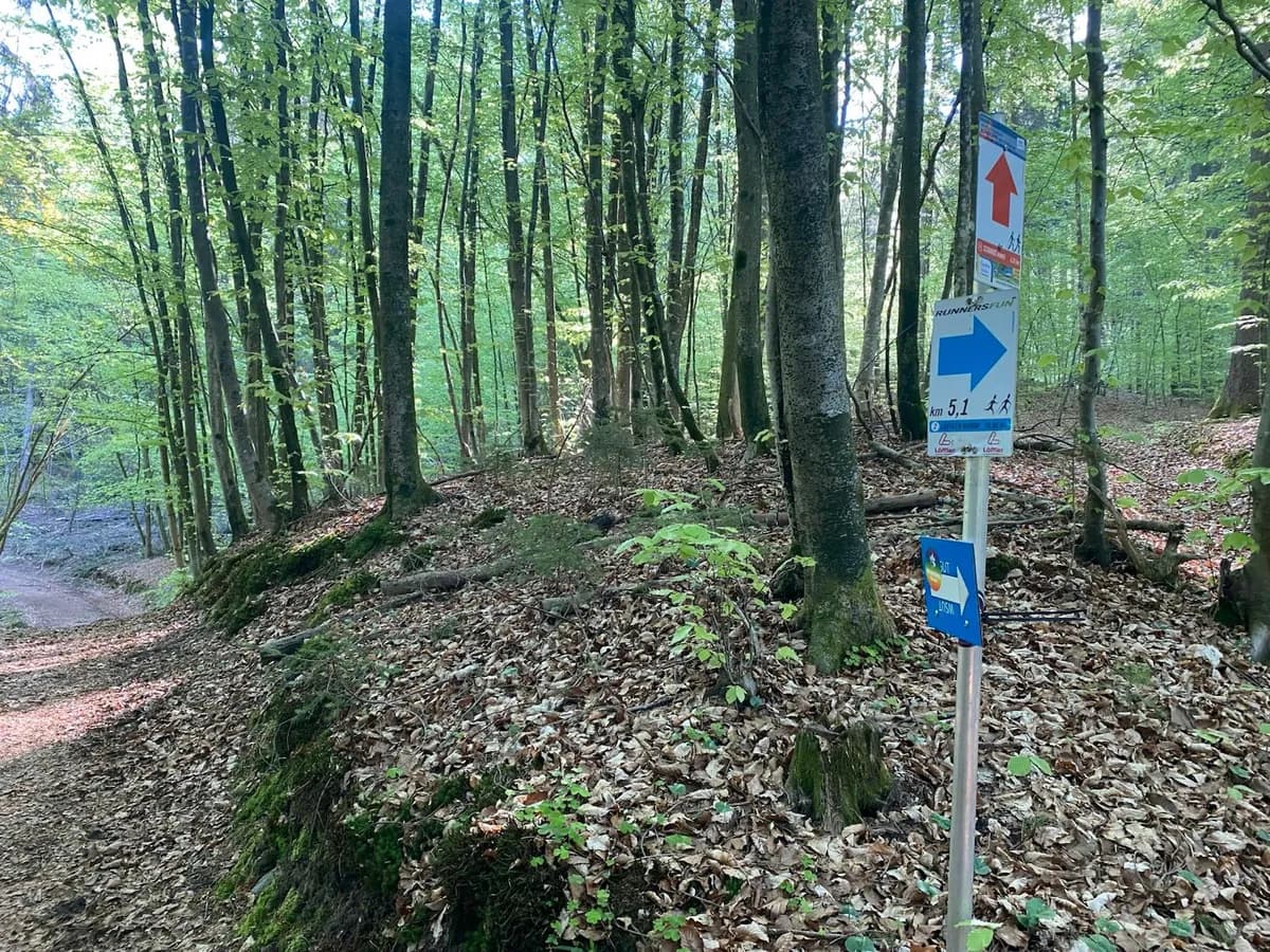 4-Zimmer-Haus kaufen in Klagenfurt Land – 144 m², € 589.000 – Bild 14 von 17
