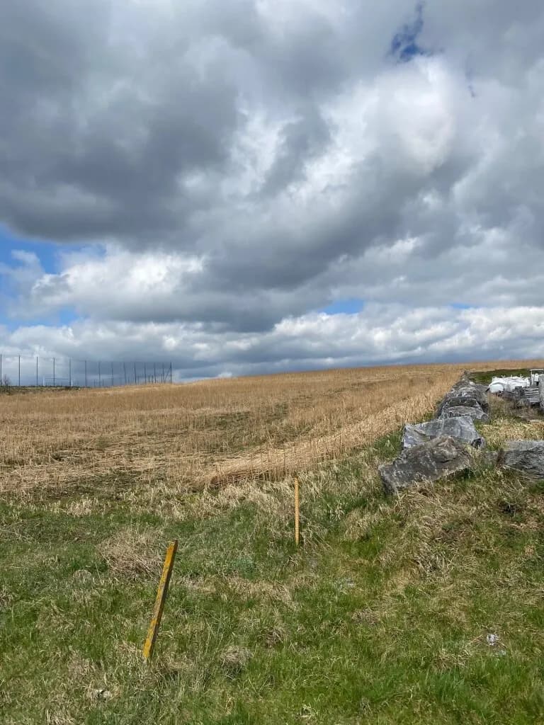 Immobilie kaufen in Krems Land – 7 000 m², € 175.000 – Bild 6 von 9