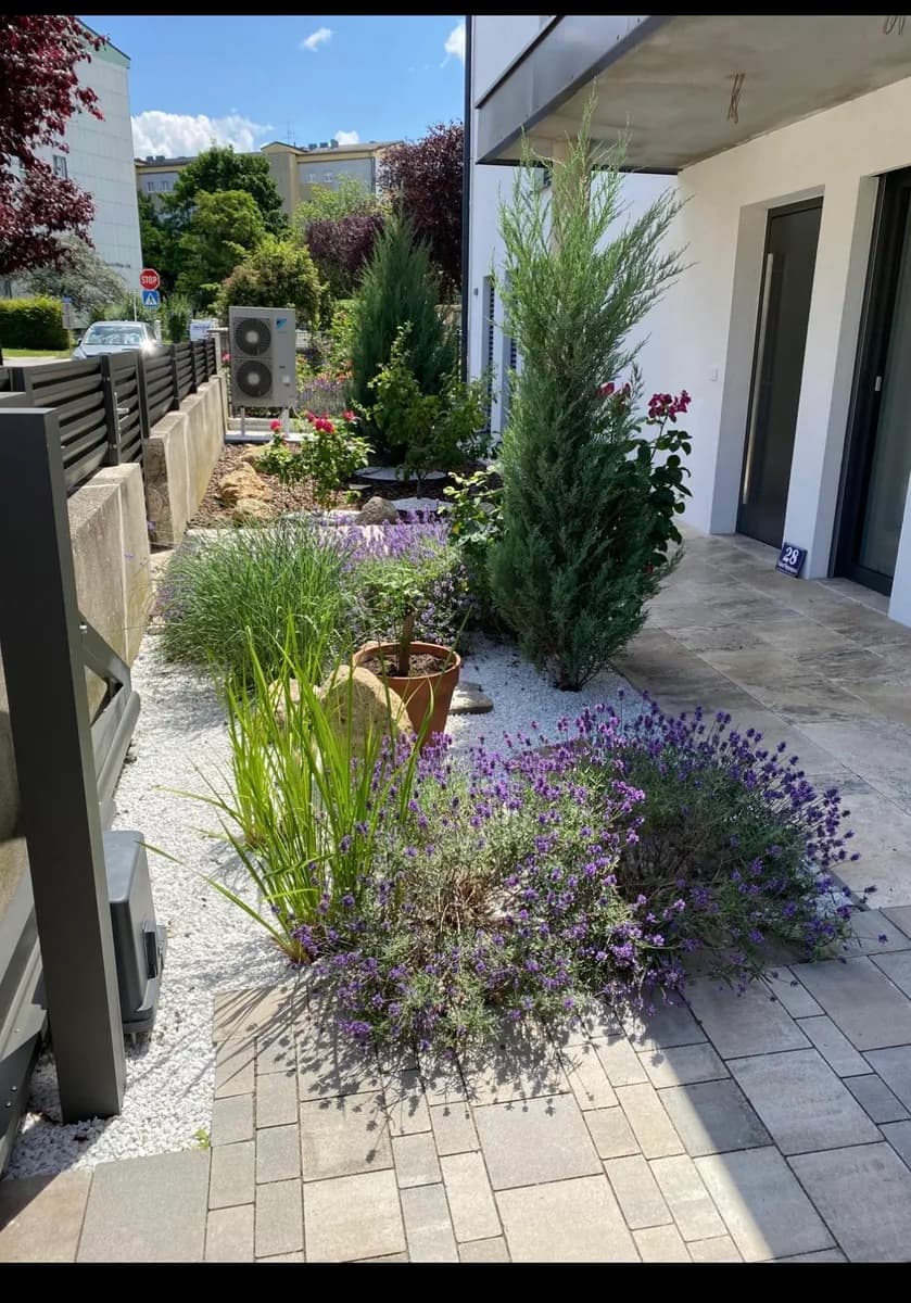 Haus kaufen in Wiener Neustadt – 202 m², € 790.000 – Bild 2 von 8