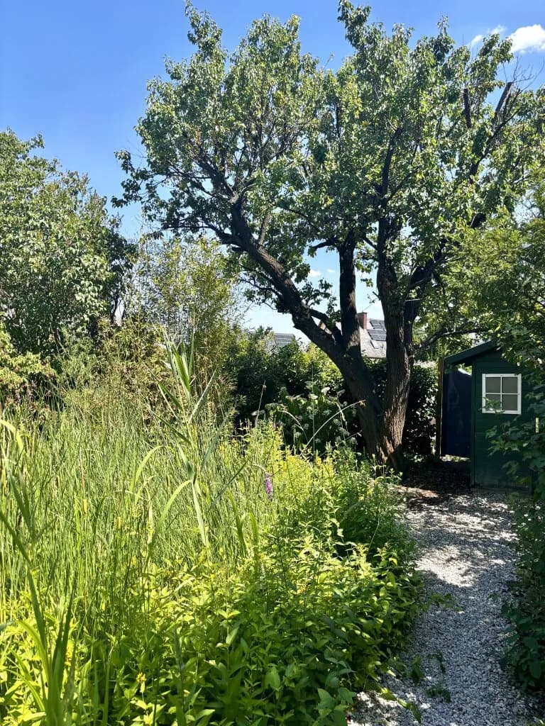 4-Zimmer-Haus kaufen in Wiener Neustadt – 147 m², € 575.000 – Bild 23 von 27