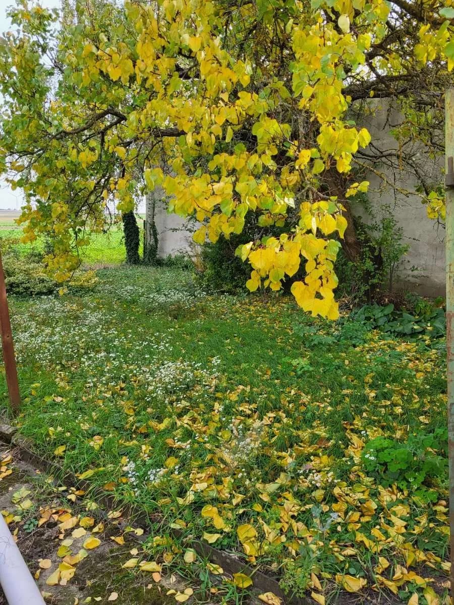 4-Zimmer-Haus kaufen in Mistelbach – 67 m², € 119.000 – Bild 17 von 18