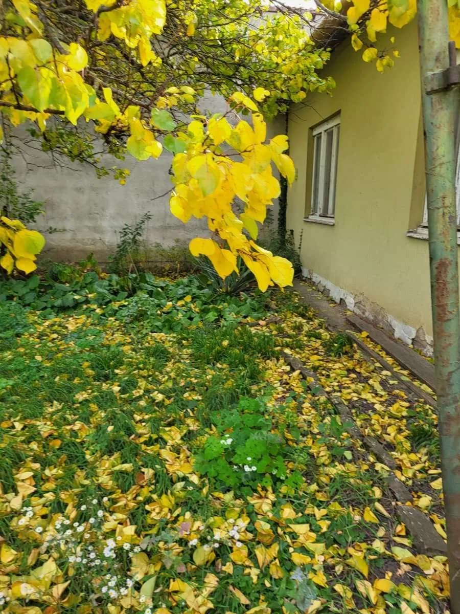 4-Zimmer-Haus kaufen in Mistelbach – 67 m², € 119.000 – Bild 18 von 18