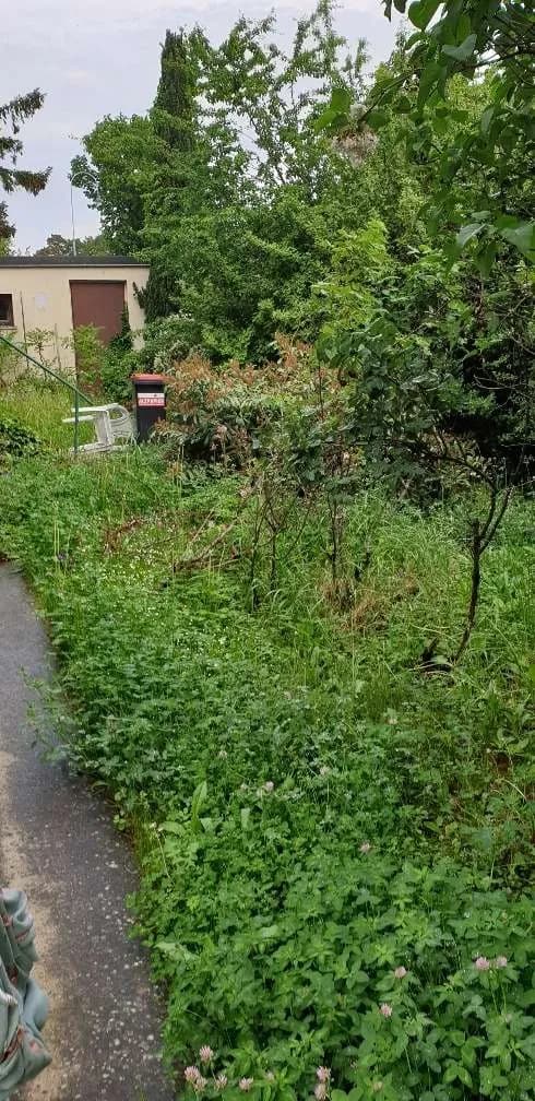 Grundstück kaufen in Tulln – 657 m², € 239.000 – Bild 6 von 8