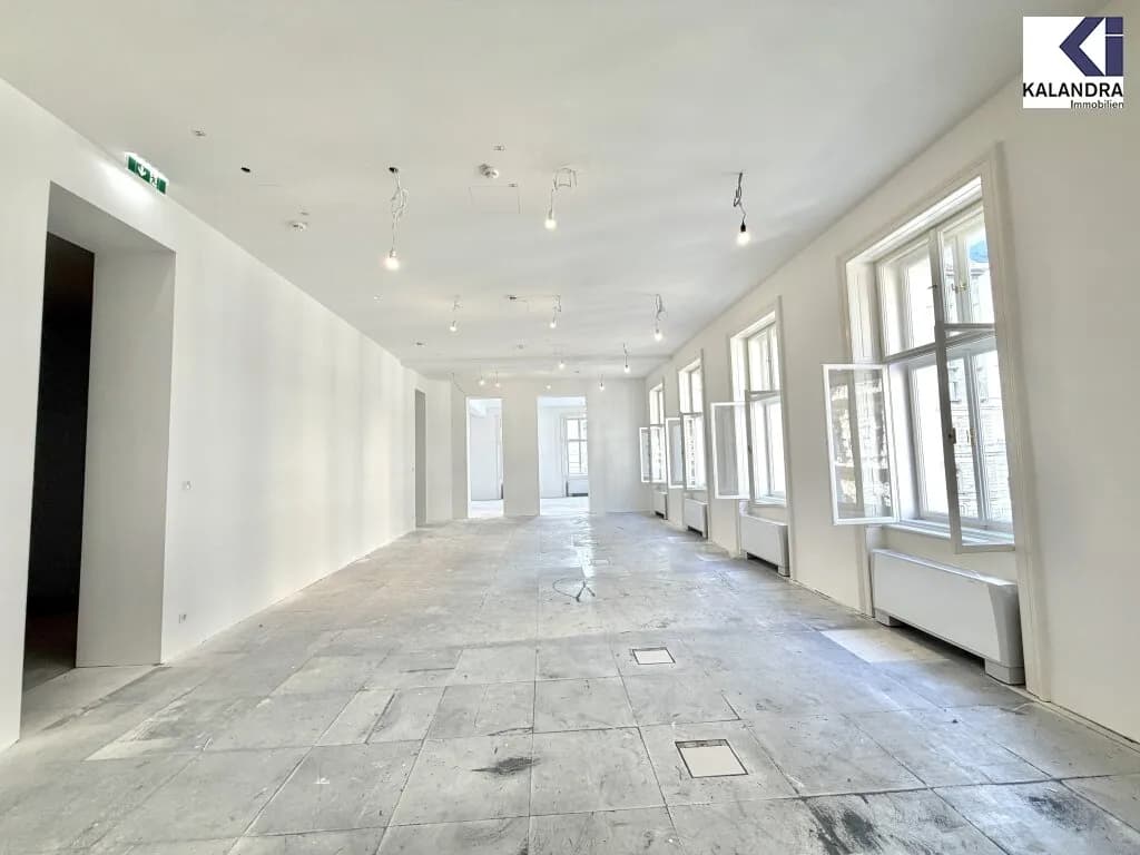 Gewerbeimmobilie mieten in Wien – 392,07 m², € 12.076 – Bild 3 von 19