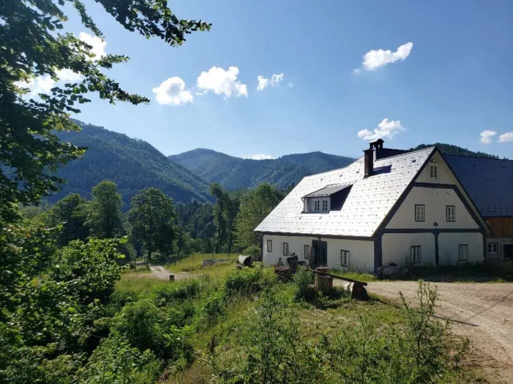 Immobilie kaufen in Amstetten – € 4.994.000 – Bild 3 von 7