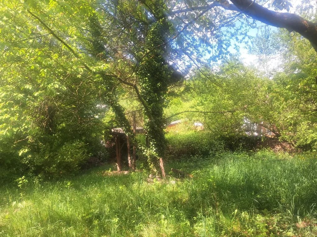 Grundstück kaufen in Urfahr-Umgebung – 940 m², € 140.000