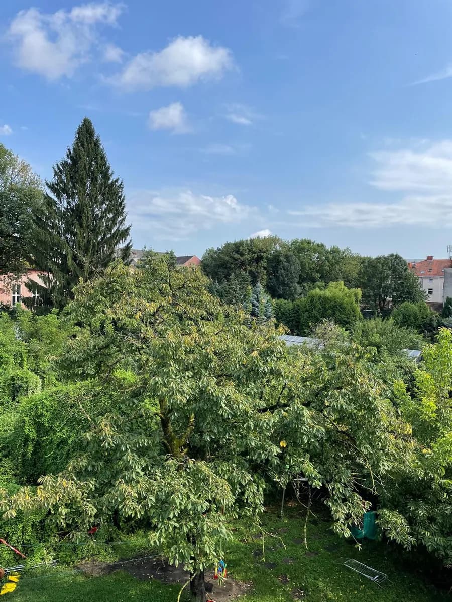 Wohnung mieten in Graz – 64 m², € 790 – Bild 7 von 7