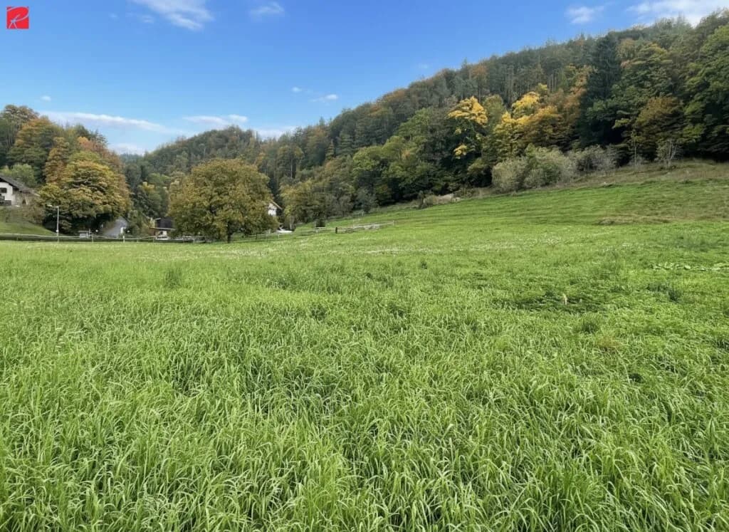 Grundstück kaufen in Graz-Umgebung – 2 037 m², € 384.000 – Bild 3 von 4