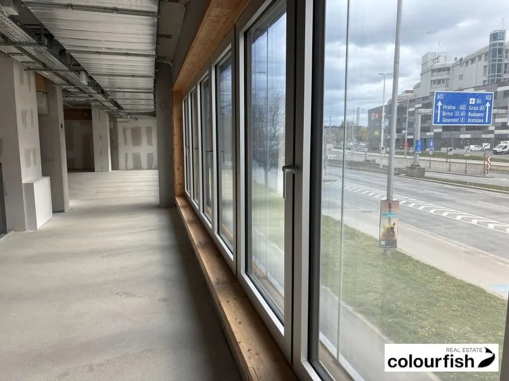 Gewerbeimmobilie mieten in Wien – 671 m² – Bild 5 von 13
