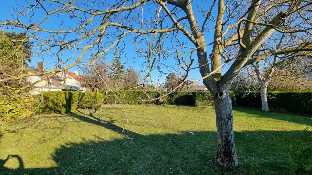 Grundstück kaufen in Wien – € 1.050.000