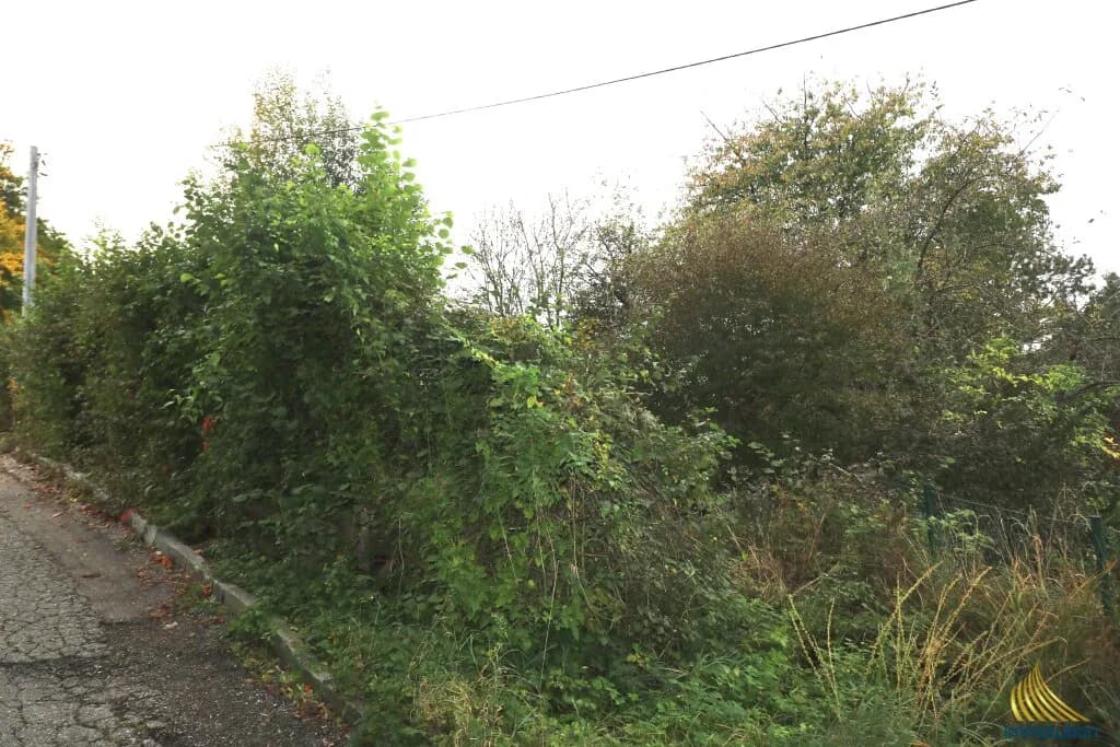 Grundstück kaufen in Steyr-Land – 1 037 m², € 95.000 – Bild 2 von 8