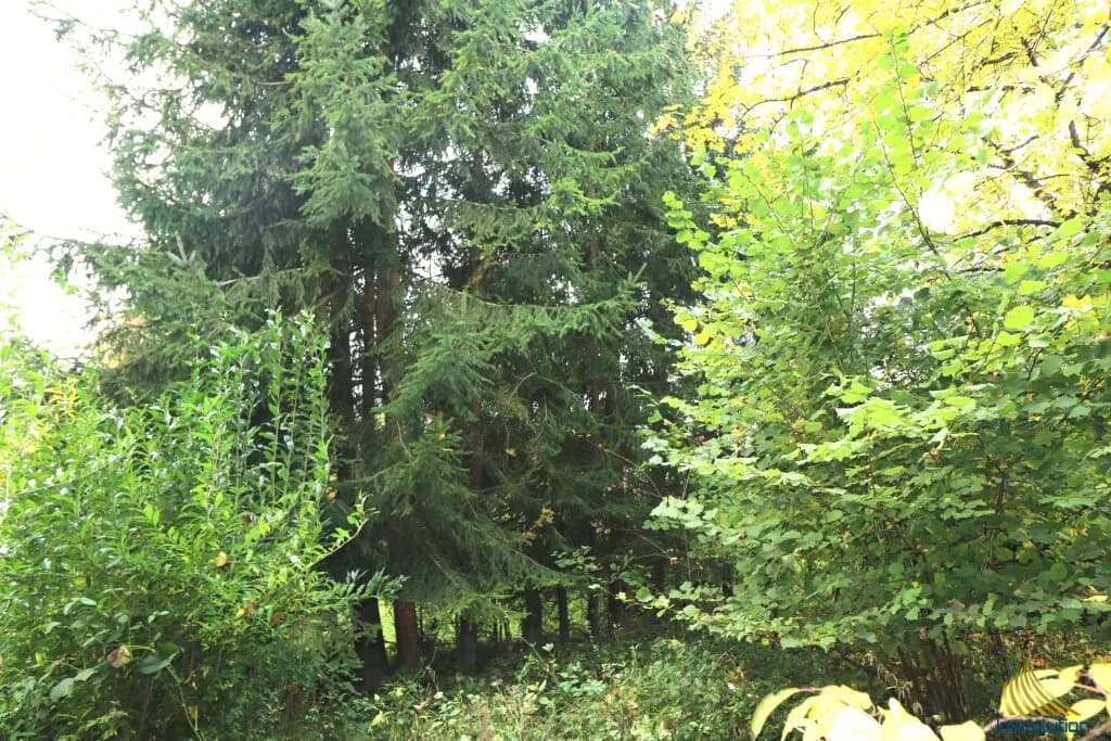 Grundstück kaufen in Steyr-Land – 1 037 m², € 95.000 – Bild 4 von 8