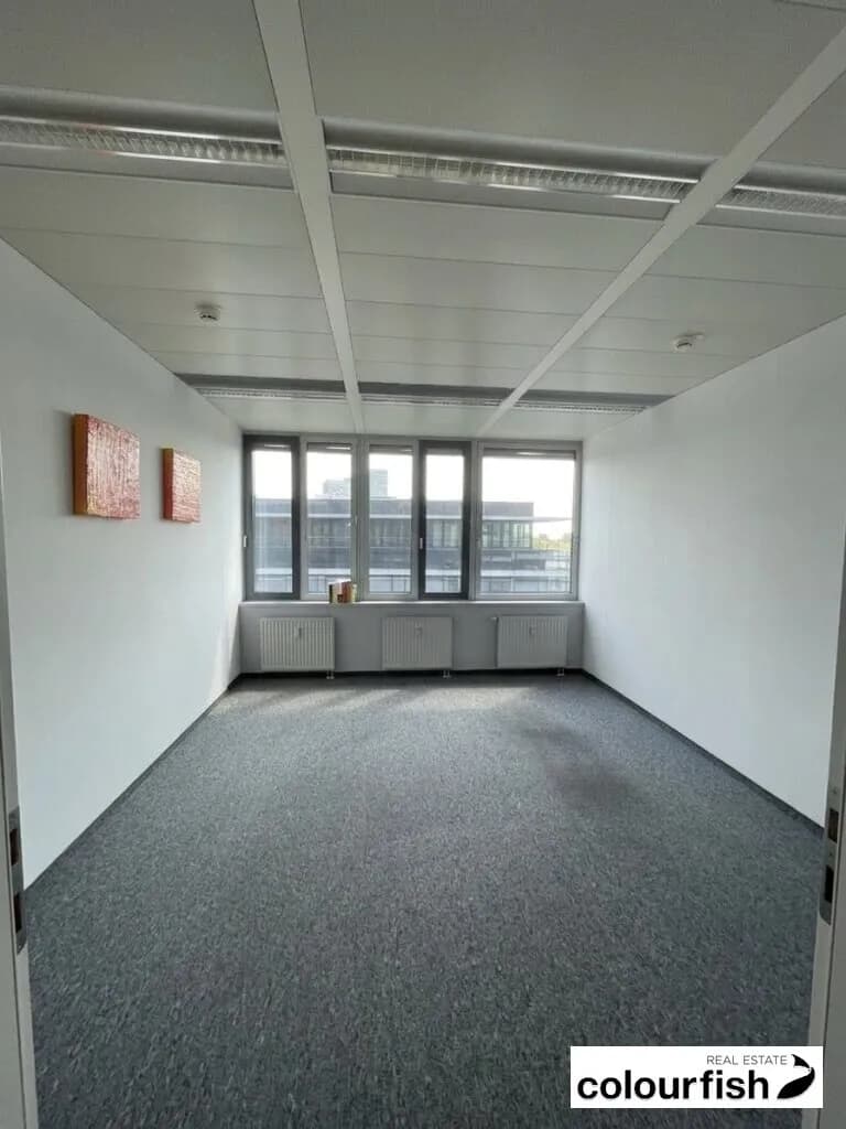 Gewerbeimmobilie mieten in Wien – 252 m², € 5.443 – Bild 4 von 8