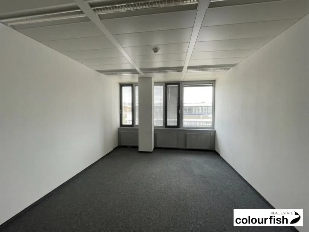 Gewerbeimmobilie mieten in Wien – 252 m², € 5.443 – Bild 5 von 8