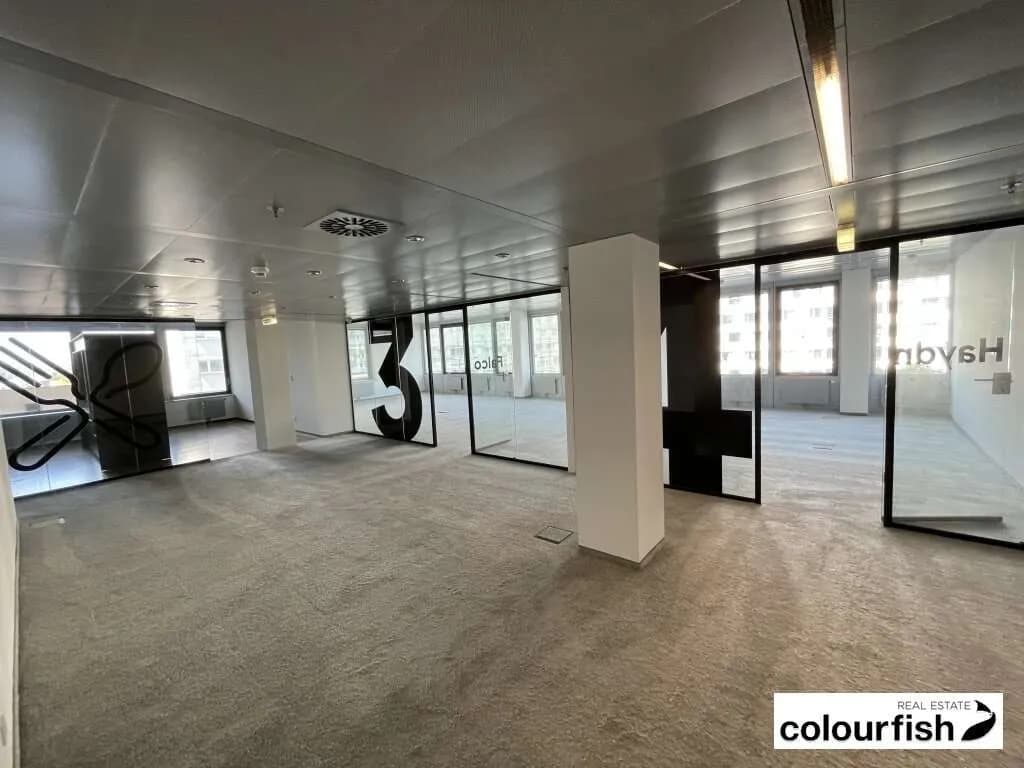 Gewerbeimmobilie mieten in Wien – 244 m², € 4.721 – Bild 2 von 6
