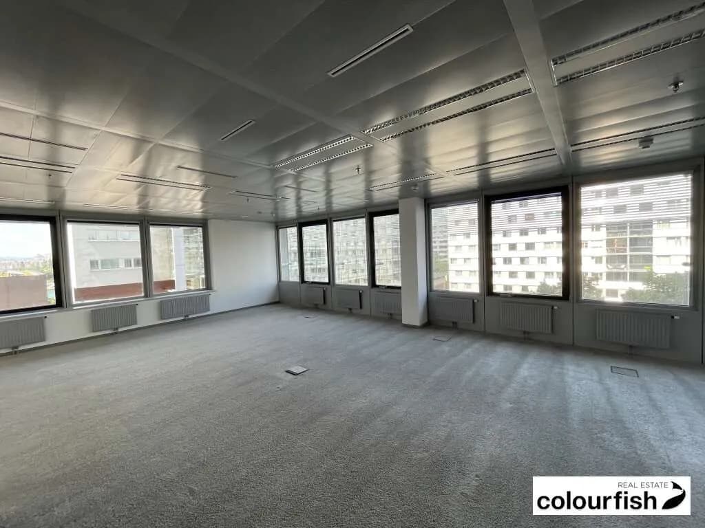Gewerbeimmobilie mieten in Wien – 244 m², € 4.721 – Bild 4 von 6