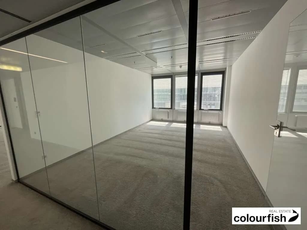 Gewerbeimmobilie mieten in Wien – 244 m², € 4.721 – Bild 5 von 6