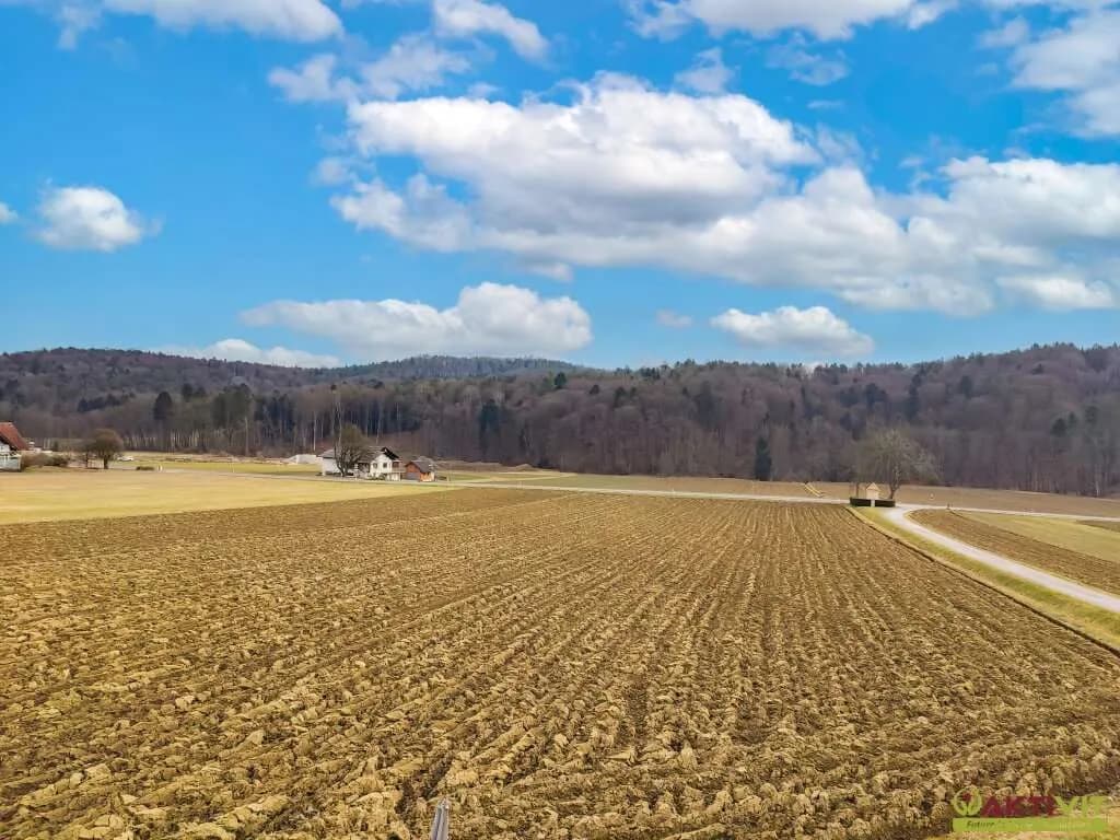 10-Zimmer-Gewerbeimmobilie kaufen in Südoststeiermark – 350 m², € 298.000 – Bild 20 von 46