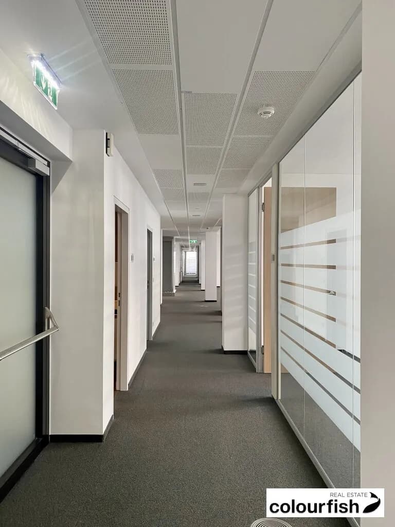 Gewerbeimmobilie mieten in Wien – 332 m², € 6.441 – Bild 4 von 10
