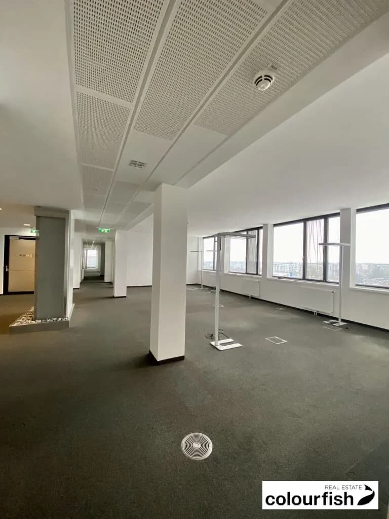 Gewerbeimmobilie mieten in Wien – 332 m², € 6.441 – Bild 5 von 10