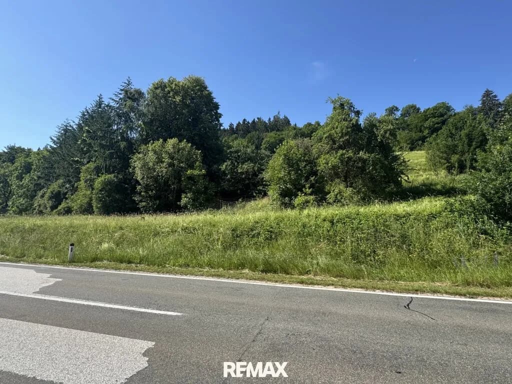 Grundstück kaufen in Völkermarkt – 26 049 m², € 120.000 – Bild 3 von 4