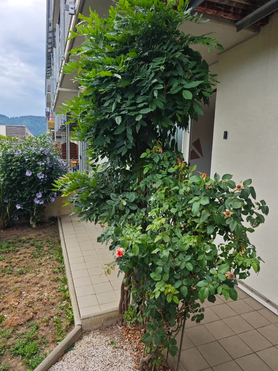 2-Zimmer-Wohnung mieten in Murtal – 58 m², € 773 – Bild 42 von 53