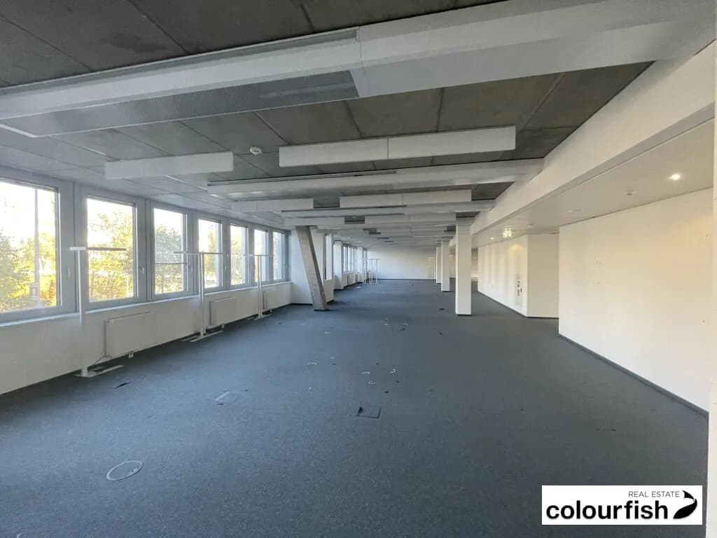 Gewerbeimmobilie mieten in Wien – 1 624 m², € 36.978 – Bild 3 von 14