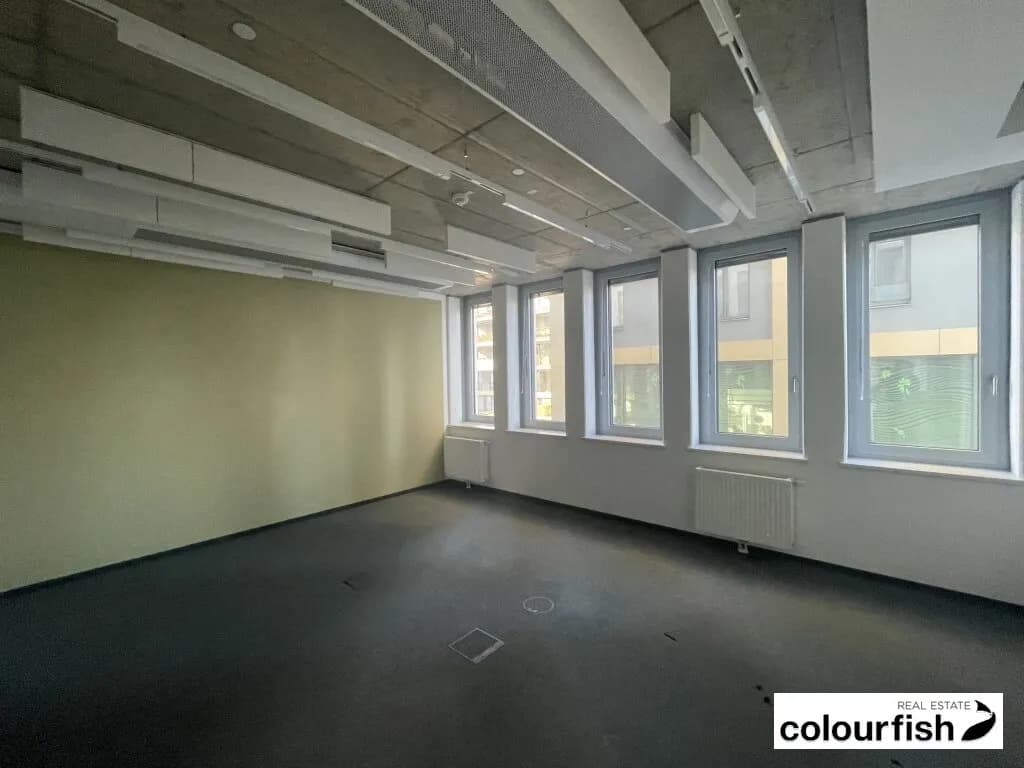 Gewerbeimmobilie mieten in Wien – 1 624 m², € 36.978 – Bild 5 von 14
