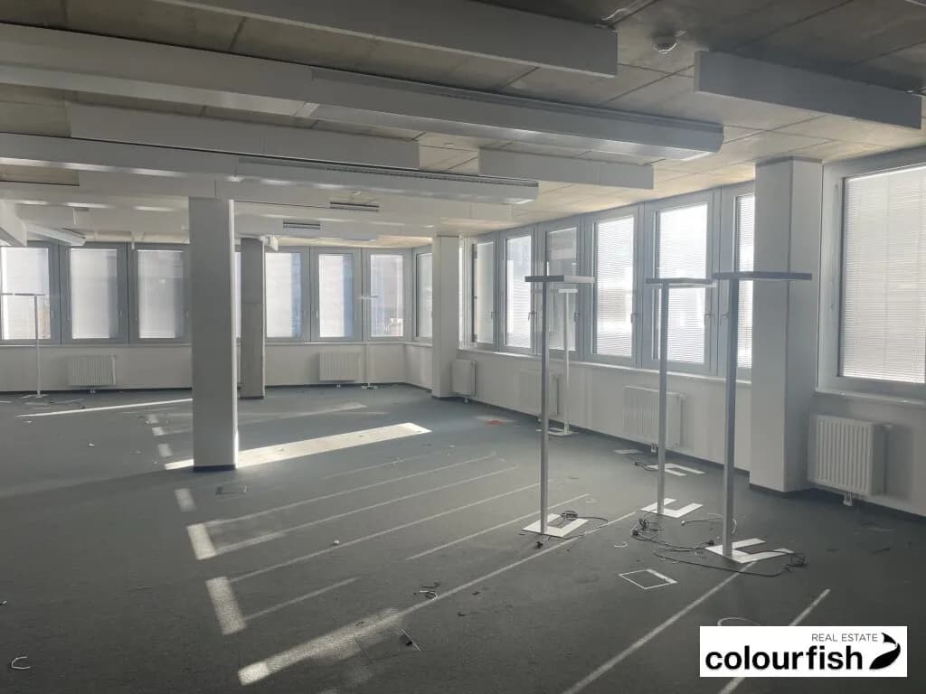 Gewerbeimmobilie mieten in Wien – 1 624 m², € 36.978 – Bild 10 von 14