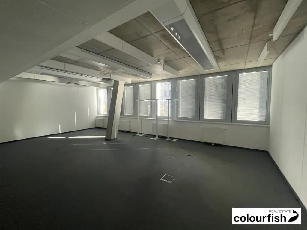 Gewerbeimmobilie mieten in Wien – 1 624 m², € 36.978 – Bild 11 von 14