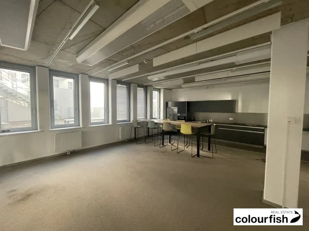 Gewerbeimmobilie mieten in Wien – 1 624 m², € 36.978 – Bild 12 von 14
