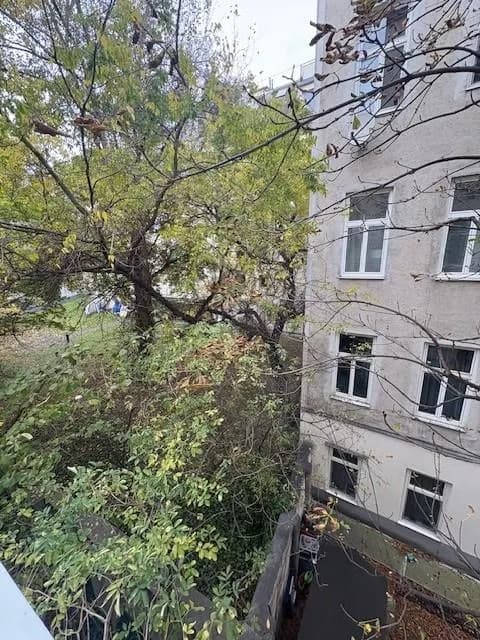 1-Zimmer-Wohnung mieten in Wien – 40,42 m², € 549 – Bild 3 von 11