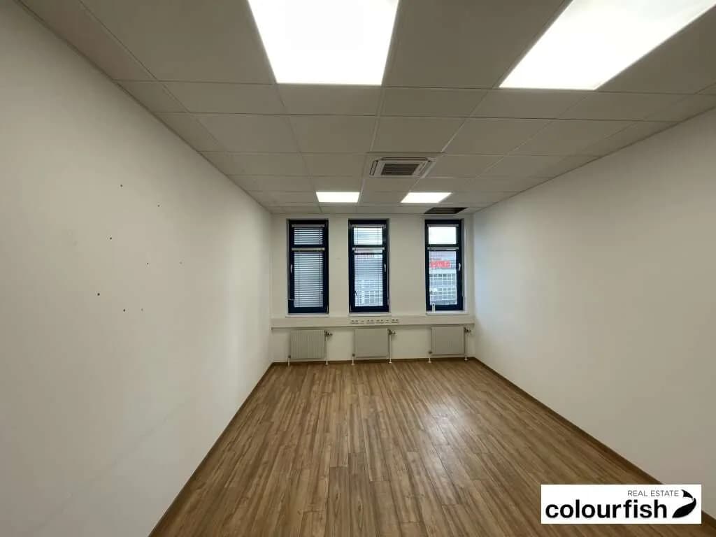 Gewerbeimmobilie mieten in Wien – 377 m², € 5.428 – Bild 6 von 10