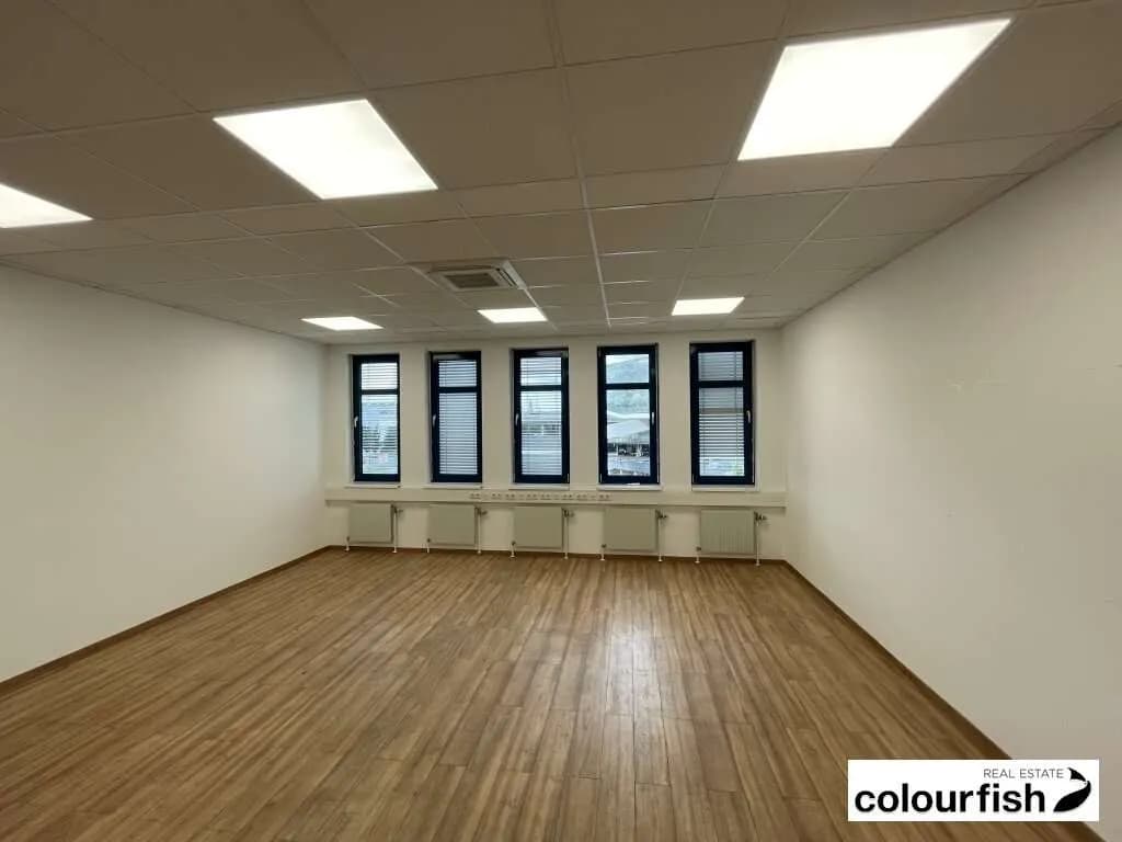 Gewerbeimmobilie mieten in Wien – 377 m², € 5.428 – Bild 7 von 10