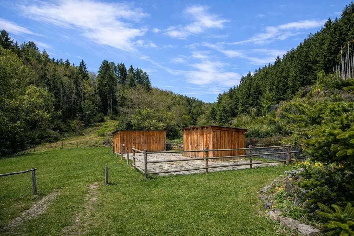 7-Zimmer-Haus kaufen in Villach Land – 316 m², € 1.985.000 – Bild 7 von 17