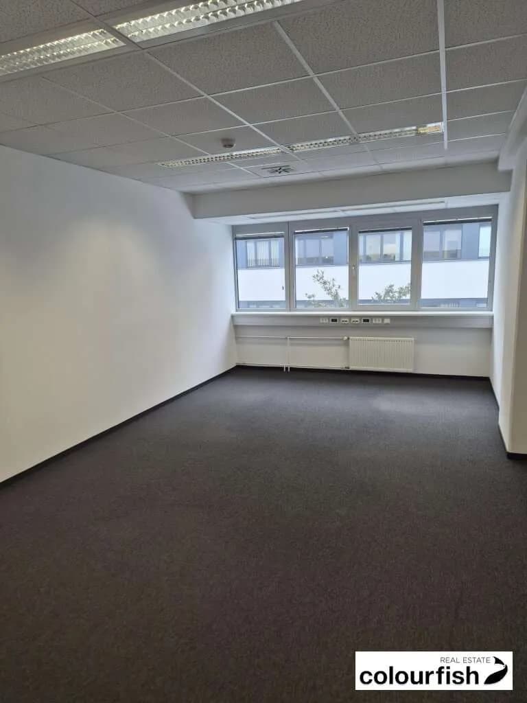 Gewerbeimmobilie mieten in Wien – 260 m², € 4.901 – Bild 2 von 8