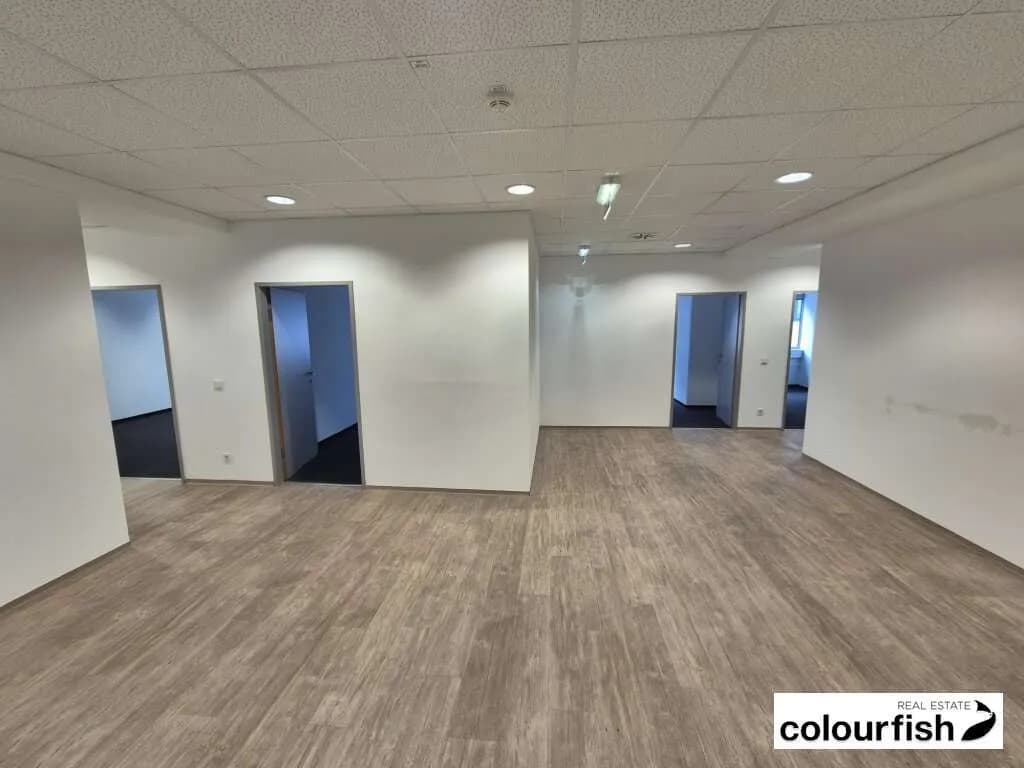 Gewerbeimmobilie mieten in Wien – 260 m², € 4.901 – Bild 3 von 8