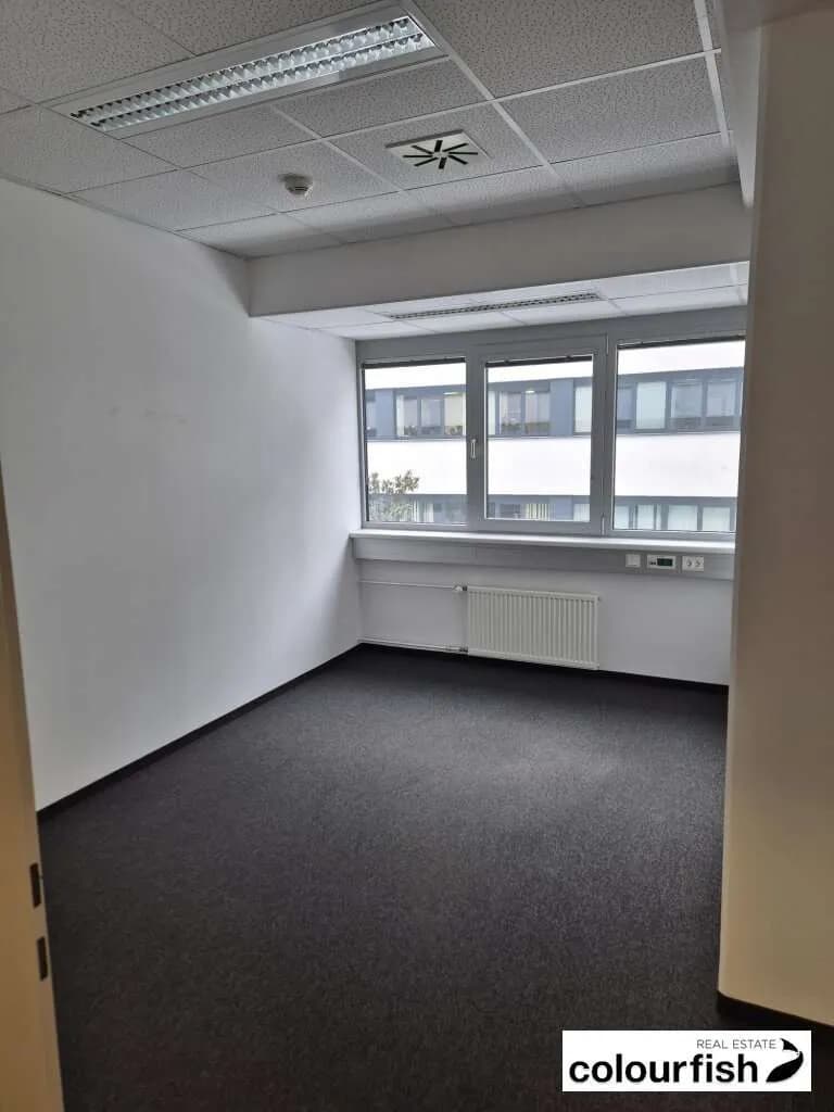 Gewerbeimmobilie mieten in Wien – 260 m², € 4.901 – Bild 4 von 8